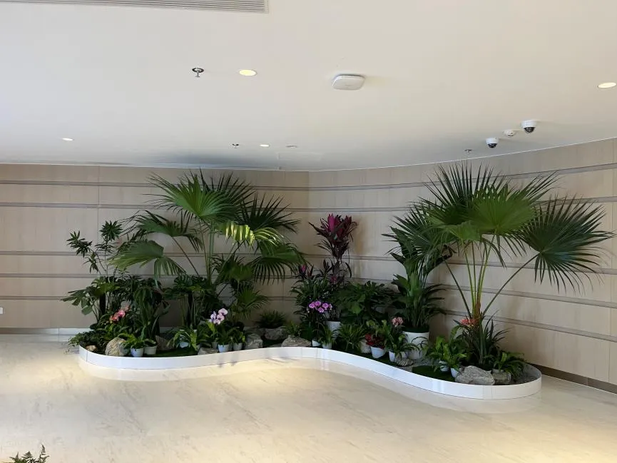 解析宁波海曙植物租摆设计，打造魅力绿色环境